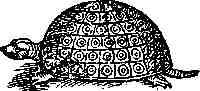 jung170.jpg